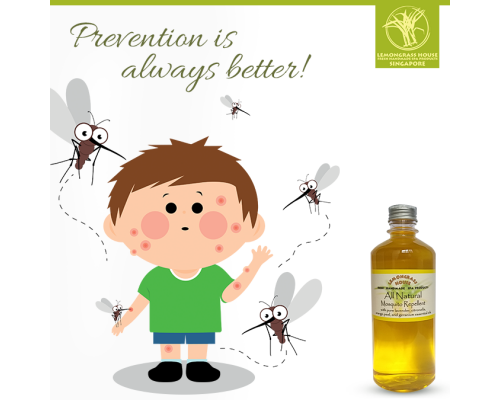 Mosquito Repellent Spray