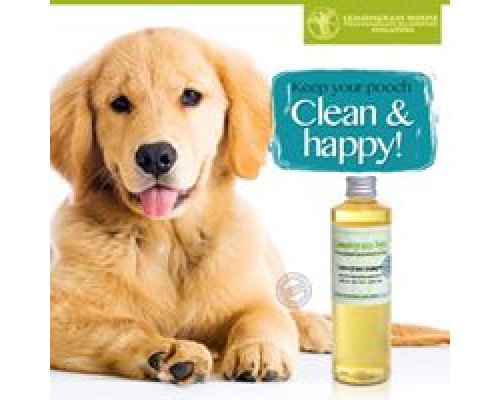 Dog Shampoo Lemongrass & Green Tea