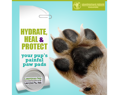 Dog Paw Balm