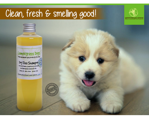 Dog Flea Shampoo