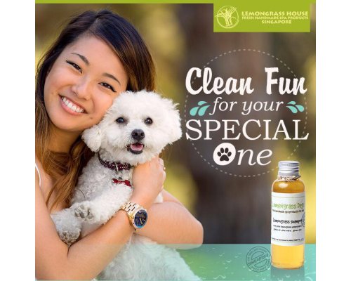 Dog Shampoo Lemongrass & Green Tea
