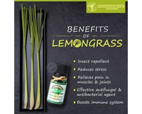 Lemongrass Essential Oil
