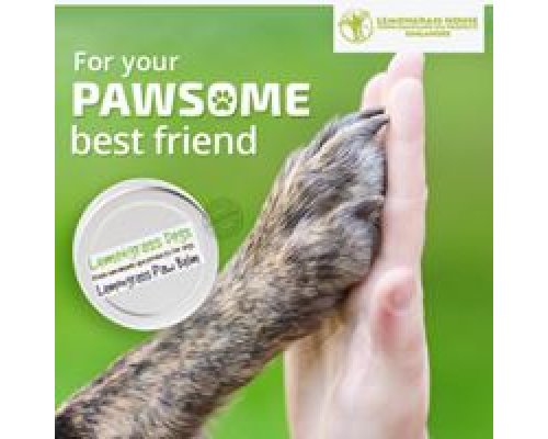 Dog Paw Balm