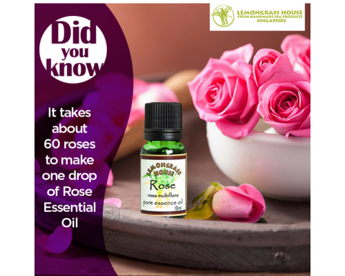 Rose Essence Oil